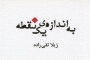 فشفشه ها در پستوی خانه / ناصر تیموری